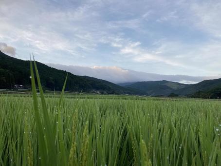 今朝の曇すごくない？の写真