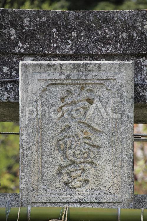 福岡県久山町の若八幡宮参道 八幡宮,八幡神社,久山町の写真素材