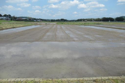 5月初旬、水が張られ田植え間近の水田 5月初旬、水が張られ田植え間近の水田の写真