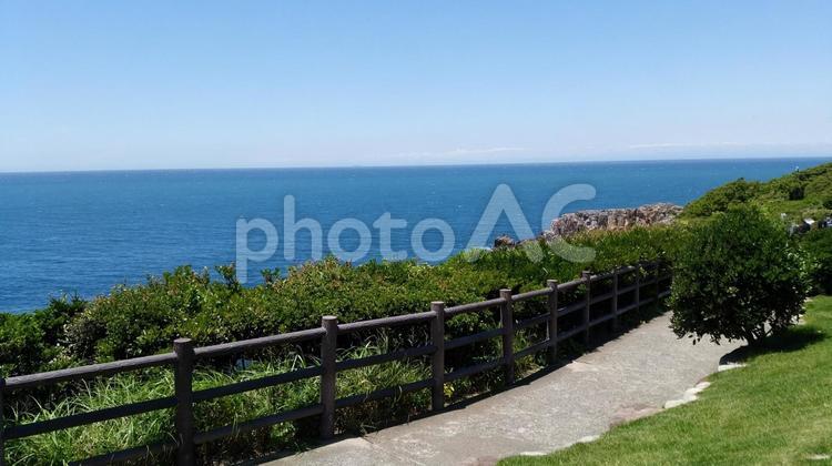 南紀白浜　吉野熊野公立公園の三段壁 和歌山,熊野,国立公園の写真素材