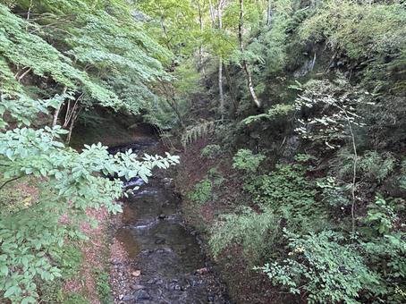 小川 小川 小川,緑,自然の写真素材