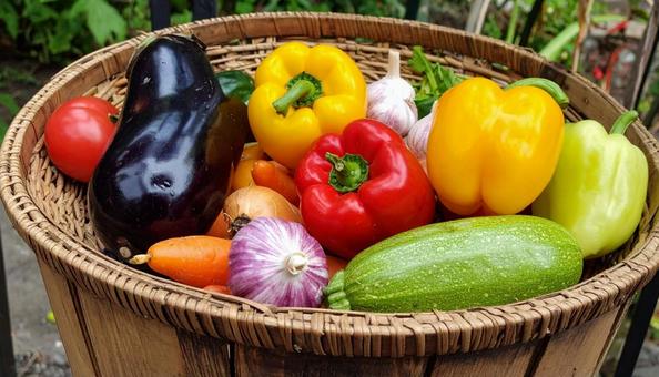 カラフルな緑黄色野菜 カラフルな緑黄色野菜の写真