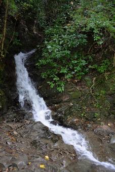 粟又の滝遊歩道沿いの滝 養老渓谷,渓谷,養老の滝の写真素材
