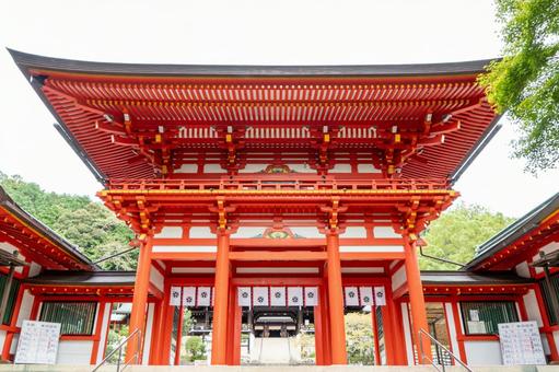 滋賀 近江神宮 楼門 滋賀 近江神宮 楼門 近江神宮,神社,滋賀県の写真素材
