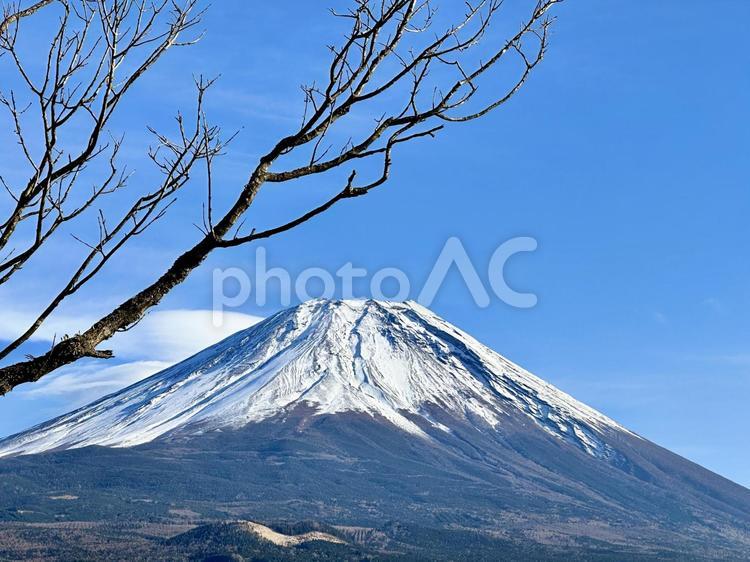 冷たく寒い冬の富士山 富士山,コピースペース,自然の写真素材