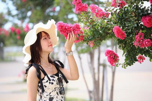 サルスベリの花を見る女性 サルスベリの花を見る女性 女性,若い,20代の写真素材