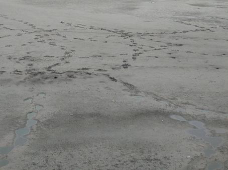 干潟と汚泥の違いは紙一重 干潟と汚泥の違いは紙一重の写真