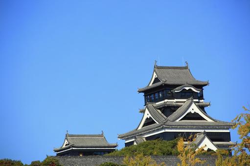 紅葉の熊本城 熊本城,城,熊本の写真素材