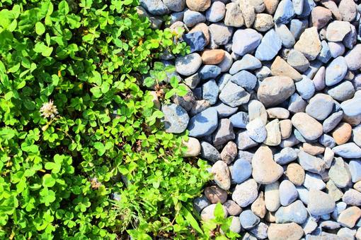 草と石 草と石の写真