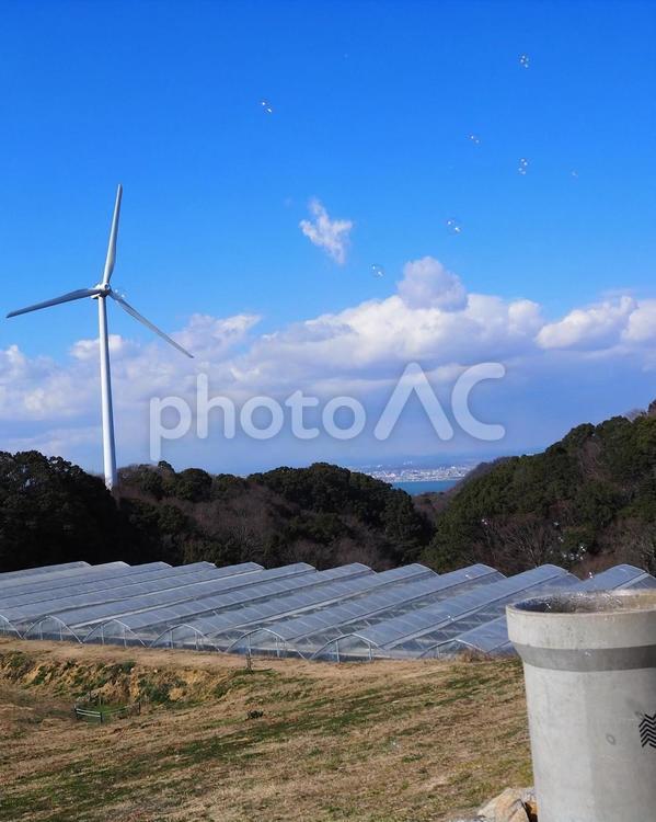 空と風 風力発電,春,空の写真素材