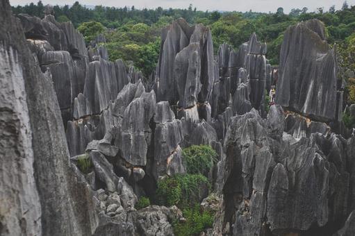昆明市石林风景区 昆明市石林风景区の写真