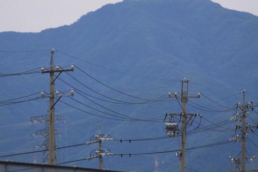 電信柱 電信柱の写真