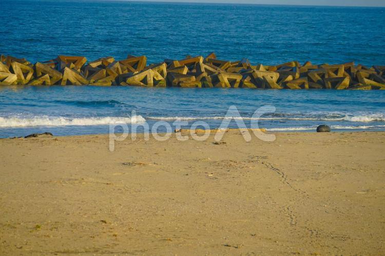 荒浜海岸の砂浜（宮城県仙台市） 荒浜海岸,仙台市,仙台の写真素材