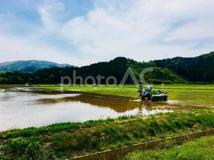 宮城の田園風景 宮城,田園,宮城県の写真素材