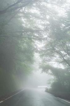 霧の中の山道 霧の中の山道の写真