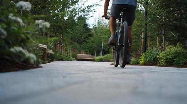 木漏れ日が差す小道を自転車で進む 木漏れ日が差す小道を自転車で進むの写真