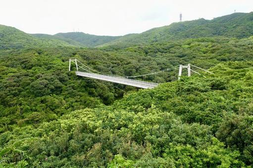 沖縄 県営バンナ公園の吊り橋 聖紫花の橋 沖縄 県営バンナ公園の吊り橋 聖紫花の橋 吊り橋,石垣ダム,聖紫花の橋の写真素材