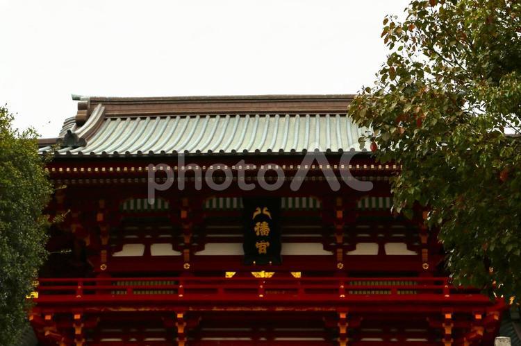 鶴岡八幡宮2(神奈川県鎌倉市) 鶴岡八幡宮,鎌倉時代,源氏の守り神の写真素材