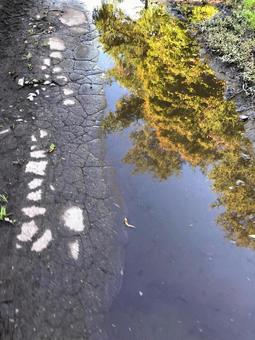 映ろう景色 映ろう景色の写真