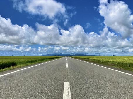 果てしなく続く田園地帯の直線路 道路,道,直線の写真素材