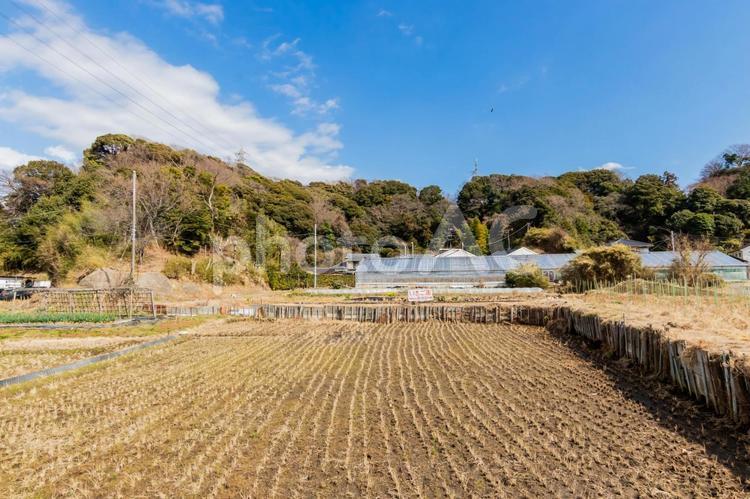 田植え前の冬の田んぼ1 田んぼ,冬,田舎の写真素材