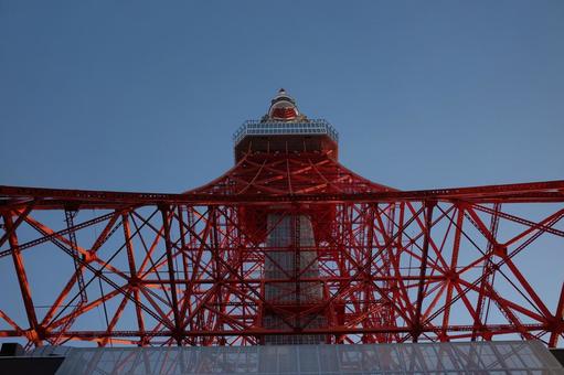 東京タワー 東京タワー,建物,建築の写真素材