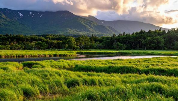 湿原 湿原の写真