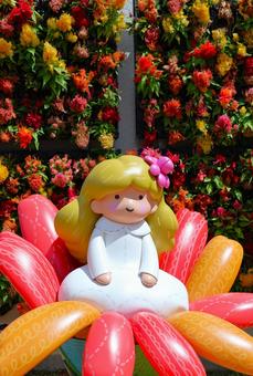 7月中旬のさぬきフラワーガーデンの花 7月中旬のさぬきフラワーガーデンの花の写真