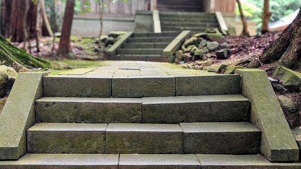 苔むす石段、神社の参道 苔むす石段、神社の参道 石段,階段,苔の写真素材
