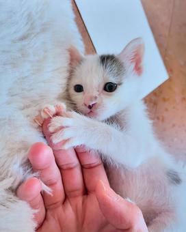 ギュッ ギュッの写真