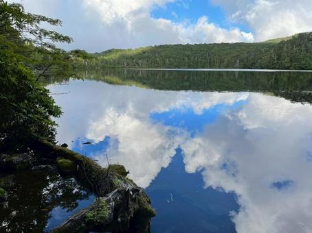 池に映る景色の写真