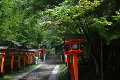 鞍馬寺の参道、京都府京都市 鞍馬寺の参道、京都府京都市 鞍馬寺,お寺,参道の写真素材