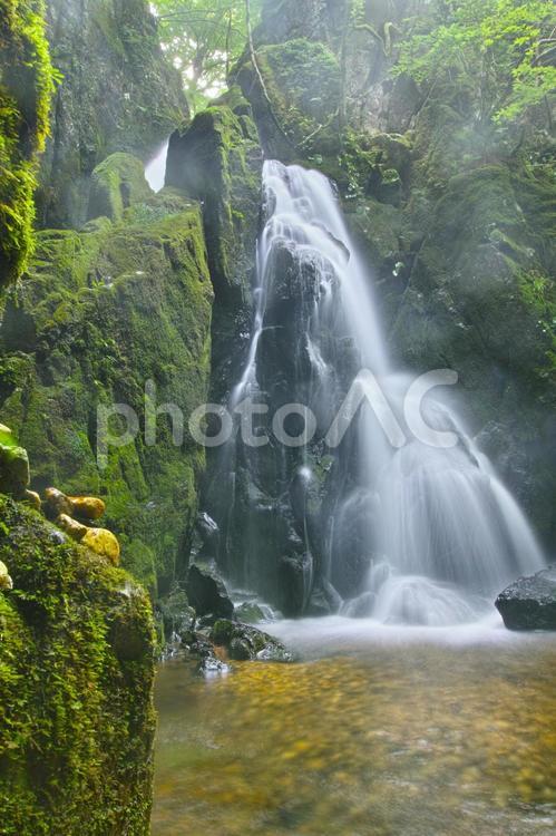 山乗渓谷・不動滝 山乗渓谷,渓谷,渓流の写真素材