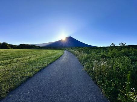 富士山に一日のはじまり 富士山,朝日,草地の写真素材