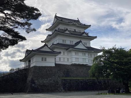 小田原城 小田原城の写真