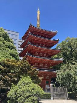 東長寺 東長寺の写真