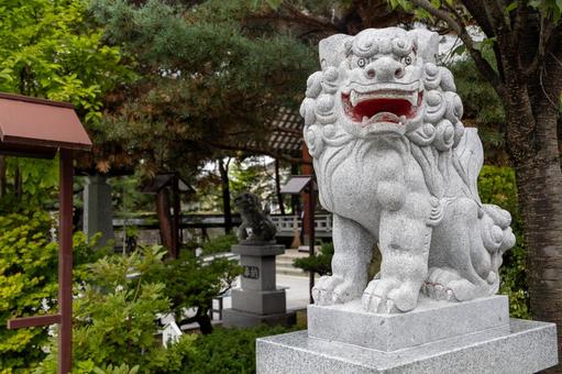 お寺の狛犬2 お寺の狛犬2 狛犬,右配置,北見神社の写真素材