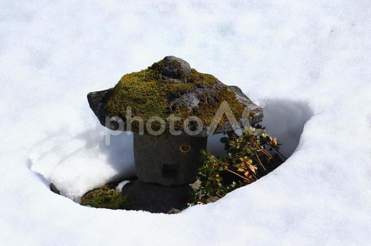 雪解けから顔を出した小さな灯篭 雪,雪解け,庭の写真素材