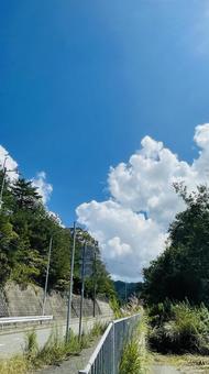 自然 緑,自然,グリーンの写真素材