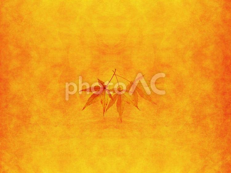 モミジのテクスチャ6 テクスチャ,背景,モミジの写真素材