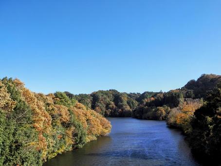 秋の笹川湖＆湖畔の紅葉（千葉県・君津市） 秋,笹川湖,紅葉の写真素材