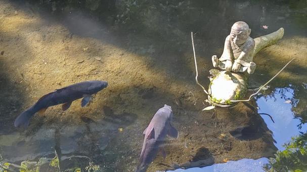 弁天池 弁天池 箱根,長安寺,羅漢の写真素材
