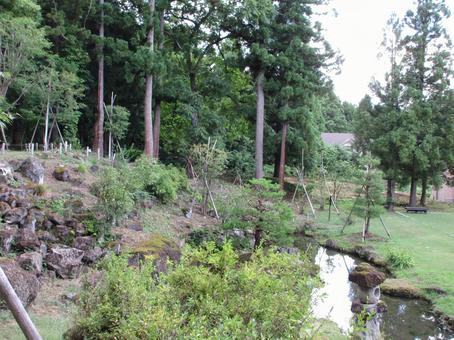 新潟県-旧関山宝蔵院庭園 新潟県-旧関山宝蔵院庭園 旧関山宝蔵院,庭園,国指定名勝の写真素材