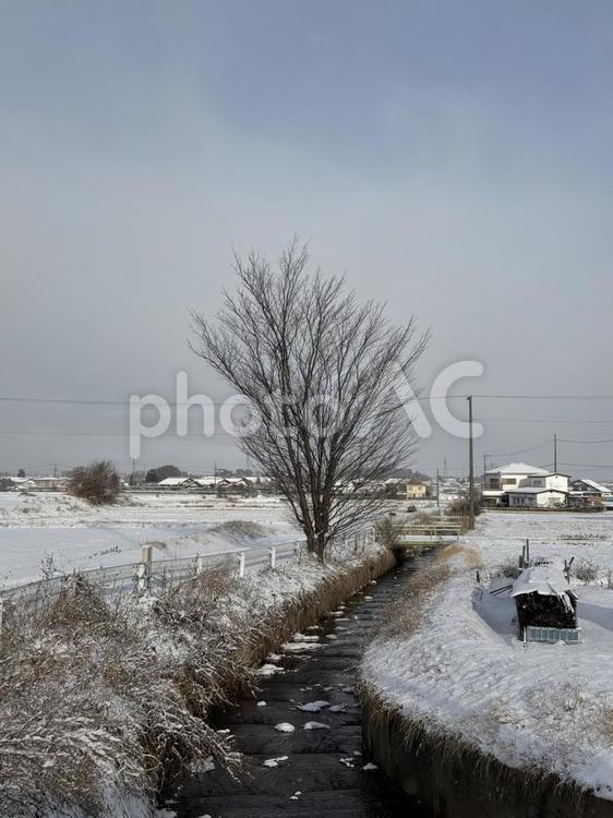 長野県塩尻市　鋳物師川（冬） 鋳物師川,風景,雪の写真素材