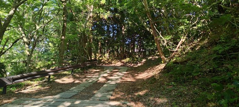 林道 林道の写真