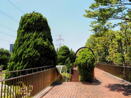 夏のフラワーガーデン・回遊歩道・江戸川区 夏のフラワーガーデン・回遊歩道・江戸川区 夏,フラワーガーデン,回遊歩道の写真素材