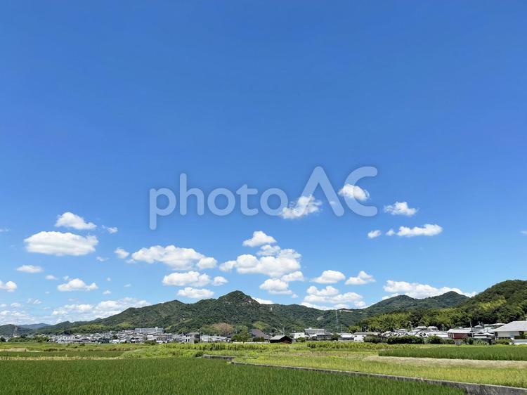 真っ青な空と草原と山 空,草原,雲の写真素材