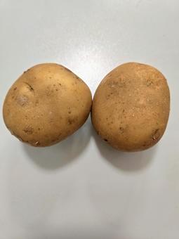 じゃがいも正面2 じゃがいも正面2の写真