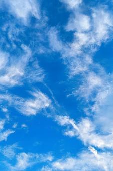 夏の青空 夏の青空の写真