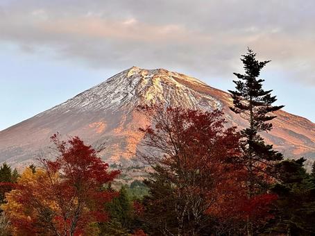 秋の富士山 富士山,紅葉,秋の写真素材